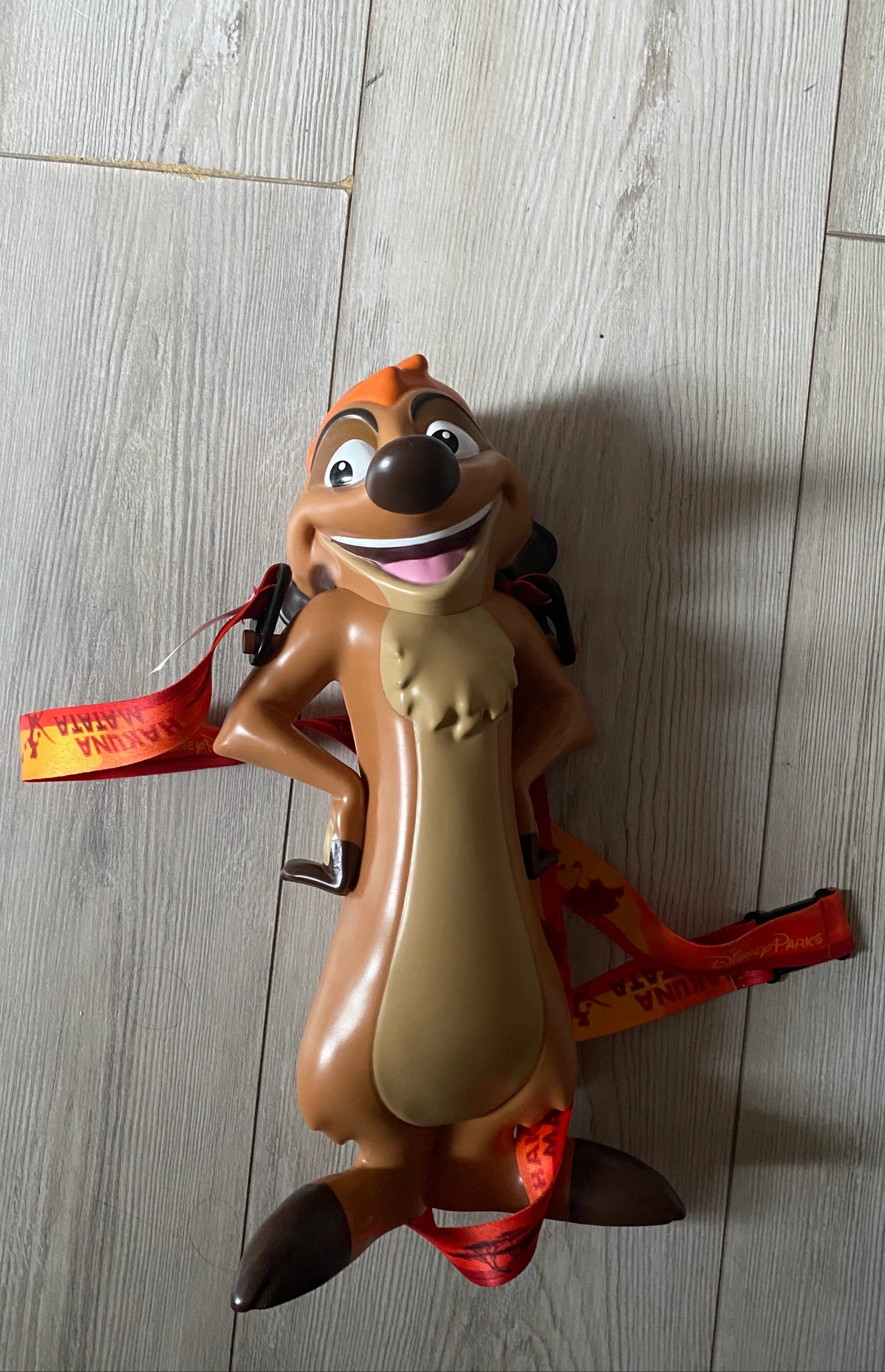 🦁 Timon - Bucket - Disney Parks - Le Roi Lion – Rare